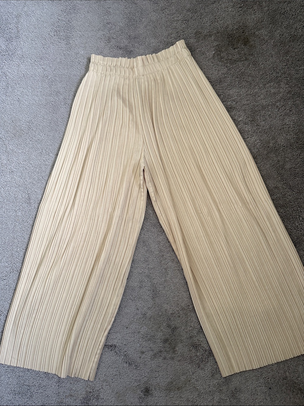 Zara Pleated Wide-Leg Pants in Light Cream